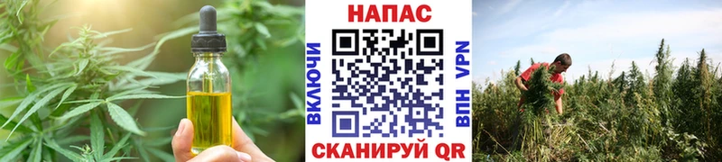 Cannafood конопля  Купить  Фёдоровский 