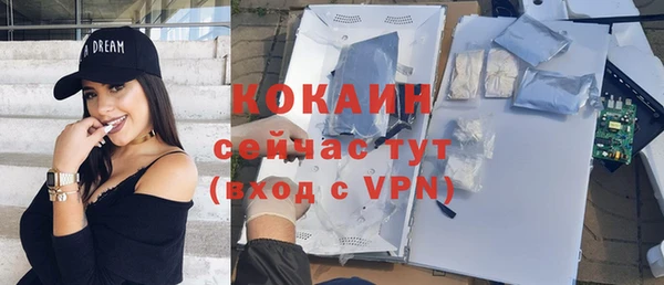 гашик Новозыбков