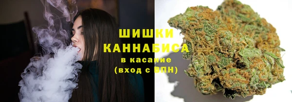 альфа пвп Новодвинск