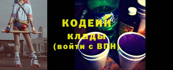 гашик Новозыбков