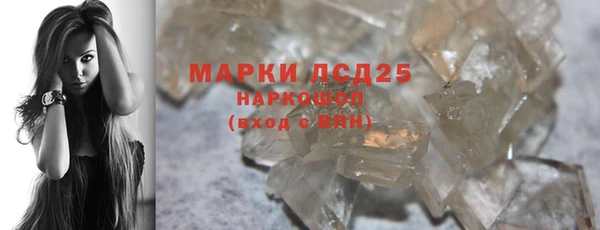 гашик Новозыбков