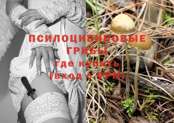 альфа пвп Новодвинск
