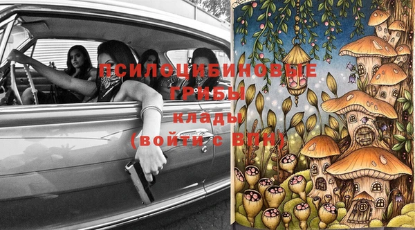 альфа пвп Новодвинск