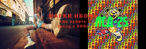 альфа пвп Новодвинск
