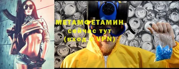 гашик Новозыбков