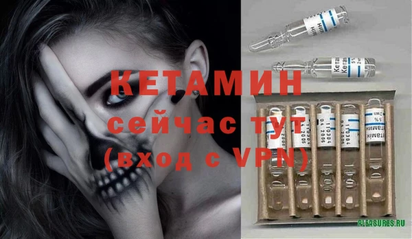 гашик Новозыбков