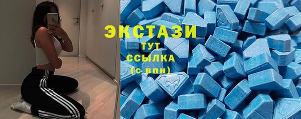 гашик Новозыбков