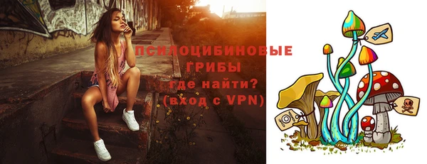 дживик Новокубанск