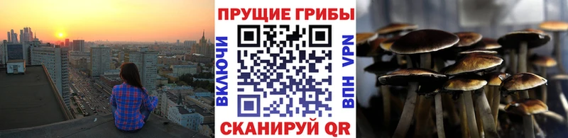 Купить где  Фёдоровский  Псилоцибиновые грибы Psilocybe 