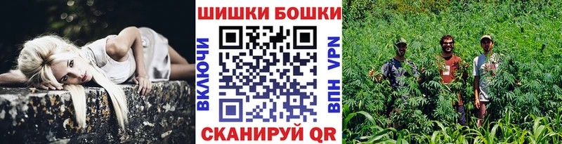 Купить где Фёдоровский Шишки марихуана гибрид